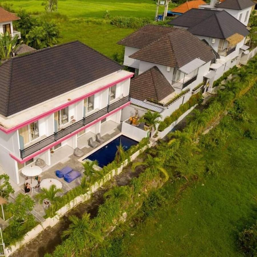 Margarita Surf Hostel Canggu Zewnętrze zdjęcie