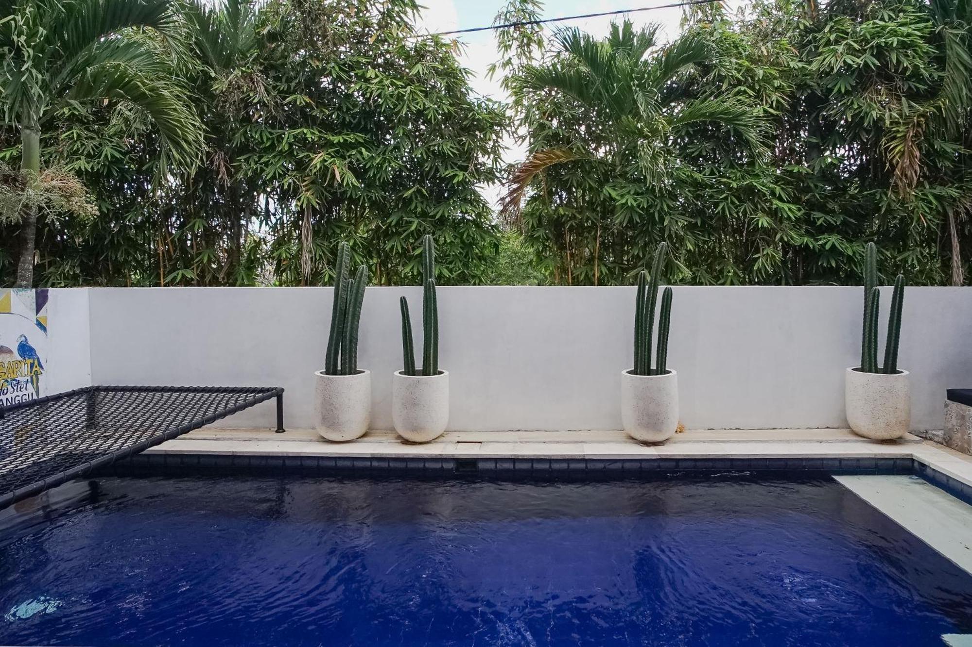 Margarita Surf Hostel Canggu Zewnętrze zdjęcie